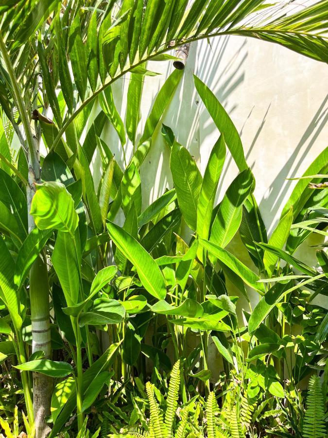 Las Flores Lombok Kuta  المظهر الخارجي الصورة